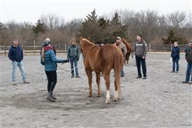 LR-2025-03-15 Retreat-0896